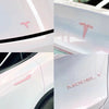 Pink TESLA Steering wheel, Front Grille or Rear Trunk Emblem Door Side DIY