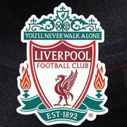 Magnetic Football Club Car Decals
