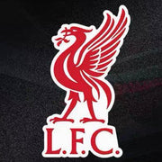 Magnetic Football Club Car Decals