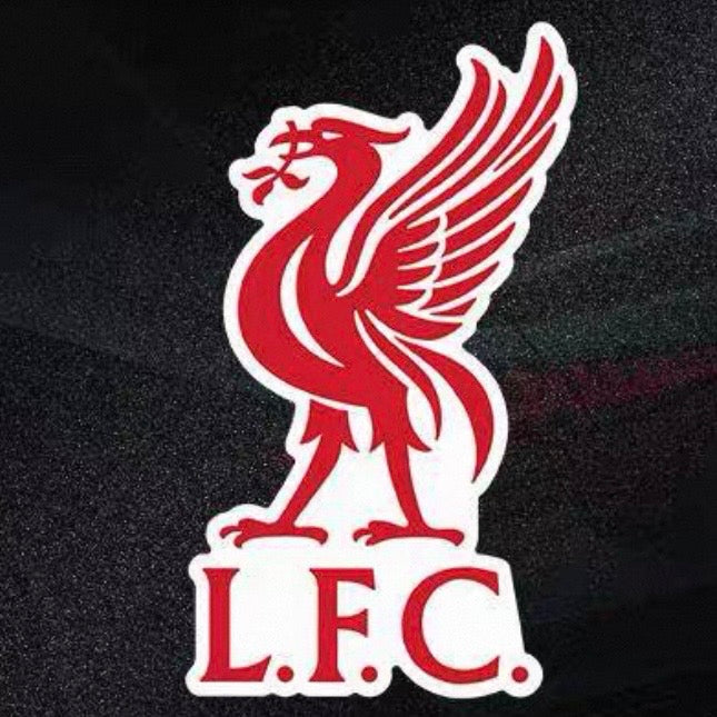 Magnetic Football Club Car Decals