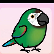 Kawaii "Chibi" Parrot Car Stickers Decal