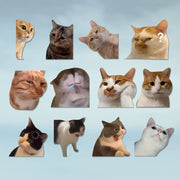 Funny Meme Cat Car Sticker