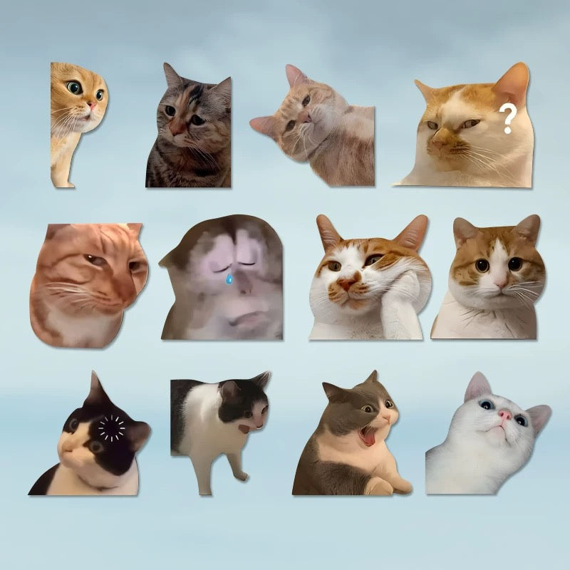 Funny Meme Cat Car Sticker