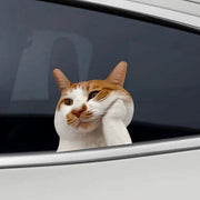Funny Meme Cat Car Sticker