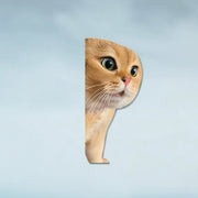 Funny Meme Cat Car Sticker