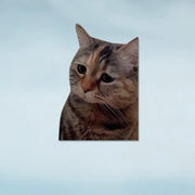 Funny Meme Cat Car Sticker