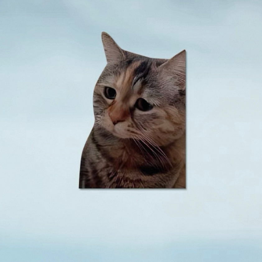 Funny Meme Cat Car Sticker