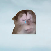 Funny Meme Cat Car Sticker