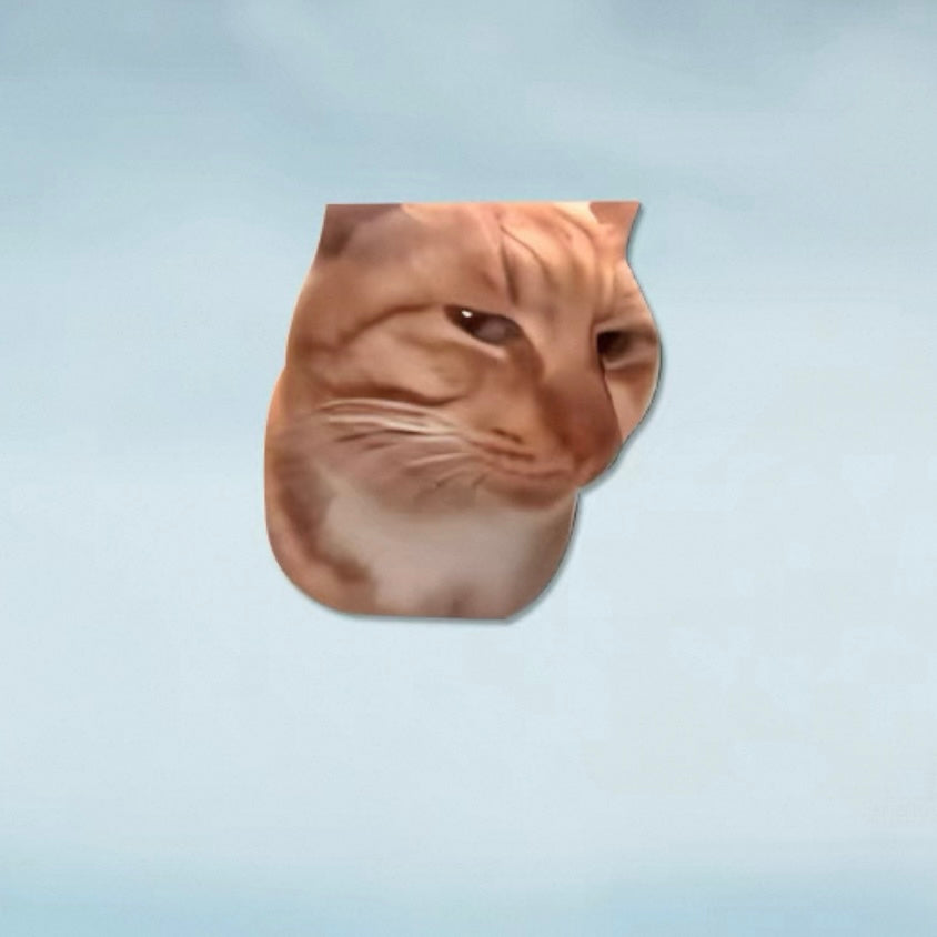 Funny Meme Cat Car Sticker