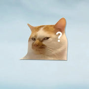 Funny Meme Cat Car Sticker