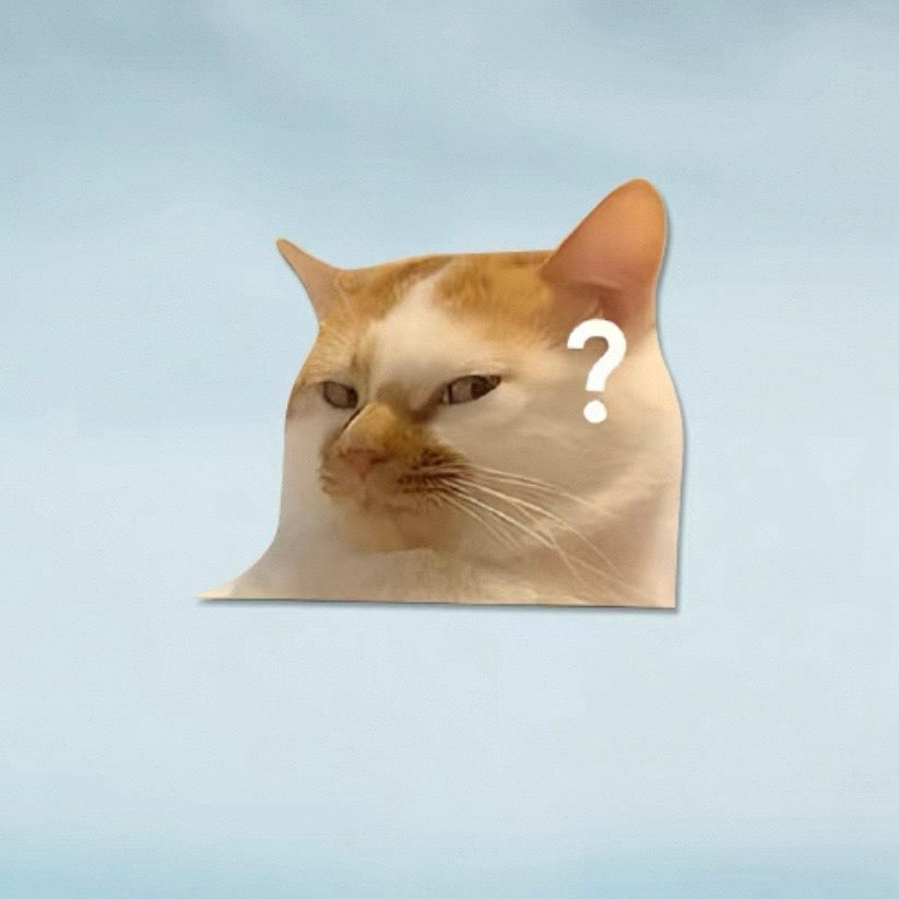 Funny Meme Cat Car Sticker