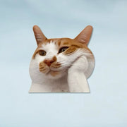 Funny Meme Cat Car Sticker