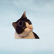 Funny Meme Cat Car Sticker