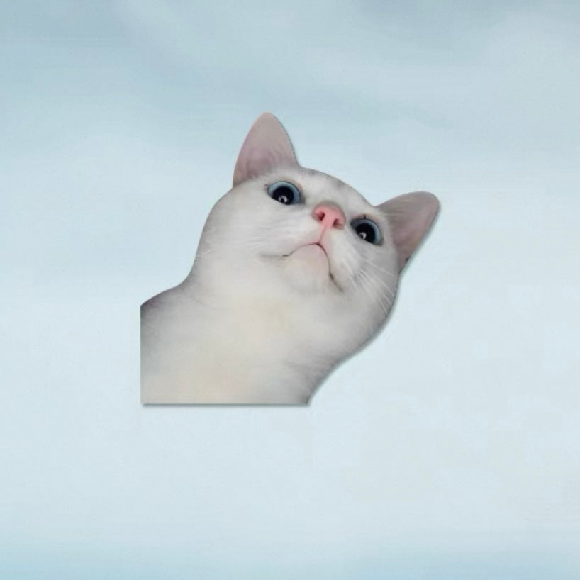 Funny Meme Cat Car Sticker