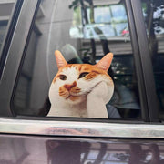 Funny Meme Cat Car Sticker