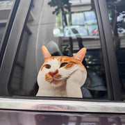 Funny Meme Cat Car Sticker