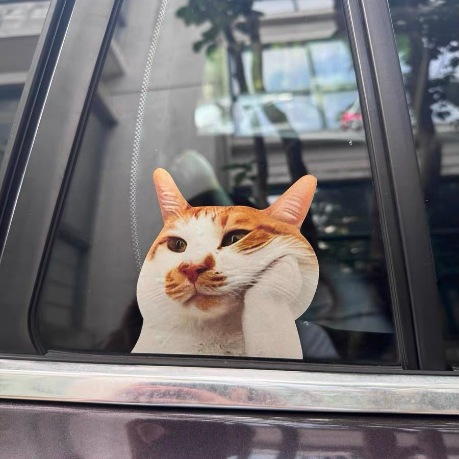 Funny Meme Cat Car Sticker