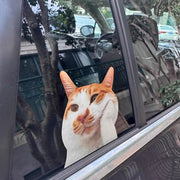 Funny Meme Cat Car Sticker
