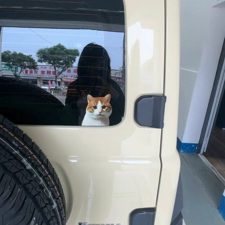 Funny Meme Cat Car Sticker