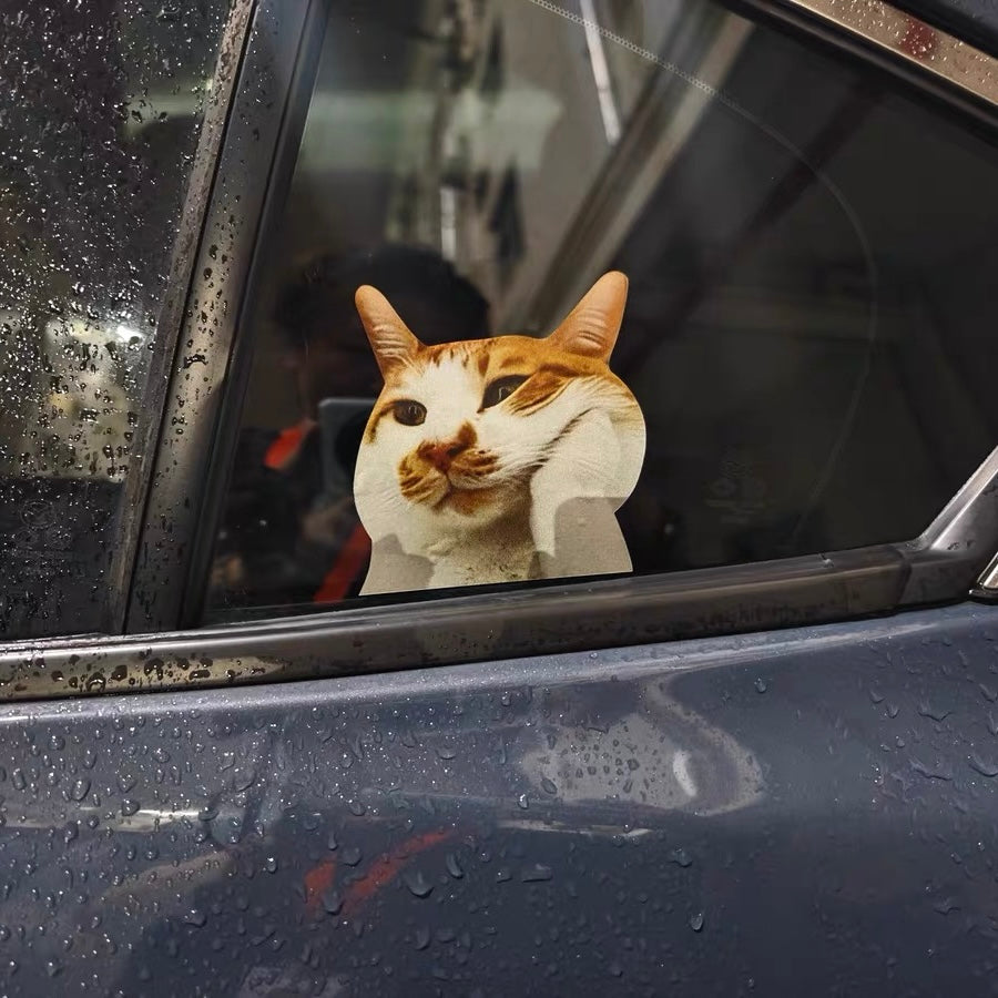 Funny Meme Cat Car Sticker
