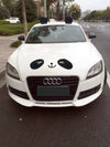 Car Costume - Panda Ears and Face Decal