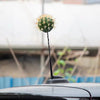 Funny Mini Cooper Smart Beetles Car Antenna Topper Decoration -Cactus ball