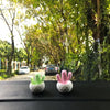 Car Dashboard Decoration - Cactus with Air freshener